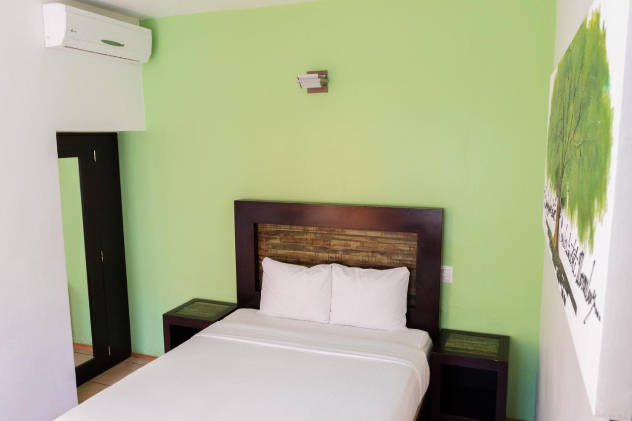 Happy Express Hotel Oaxaca Εξωτερικό φωτογραφία